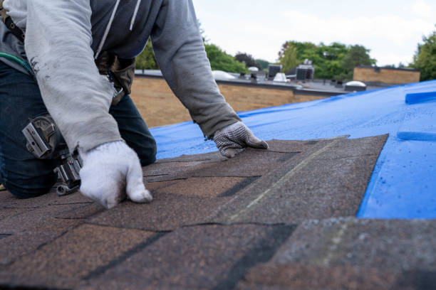 Best Roof Waterproofing Services  in Nibley, UT